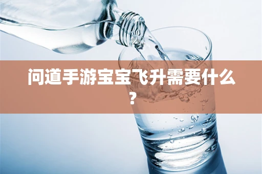 问道手游宝宝飞升需要什么？