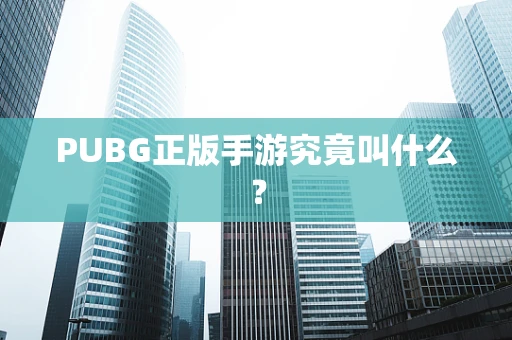 PUBG正版手游究竟叫什么？