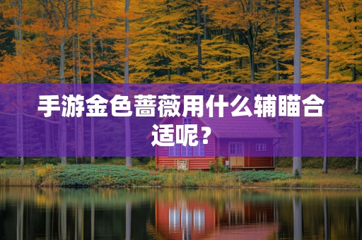 手游金色蔷薇用什么辅瞄合适呢？